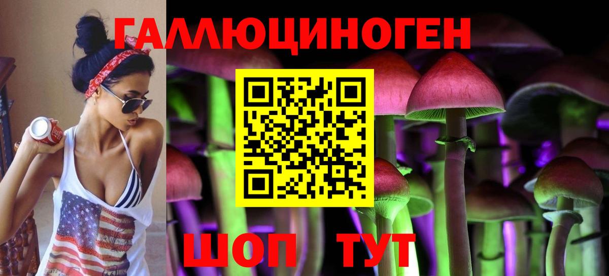 Новороссийск  Галлюциногенные грибы Psilocybe  Псилоцибиновые грибы Psilocybe  Вход с VPN 